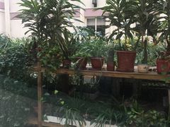 -天津大学附属中学