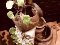 -Tajine Moroccan塔金摩洛哥中东餐厅
