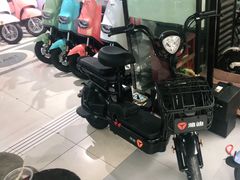-雅迪电动车(北艾路店)