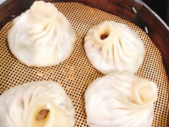 牛肉锅贴-老新隆牛肉锅贴(新街口店)