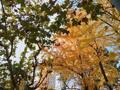 -上海安亭别墅花园酒店