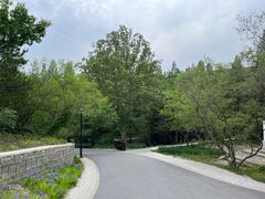 -白水寺森林公园