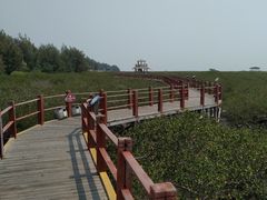 -北海金海湾红树林生态旅游区