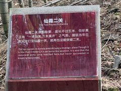 -仙霞关景区