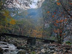 -少华山国家森林公园