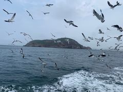 -海驴岛(荣成市)