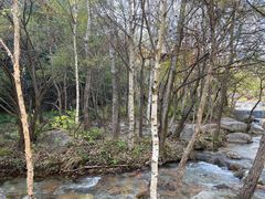 -玉渡山自然风景区