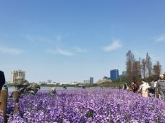 -顺峰山公园