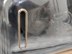 -全心全意连锁动物医院(加州店)