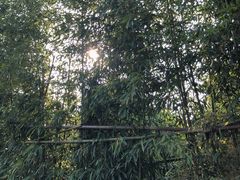 -武汉紫薇都市田园