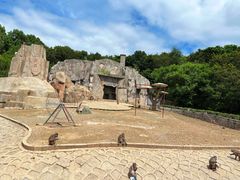 -哈尔滨北方森林动物园