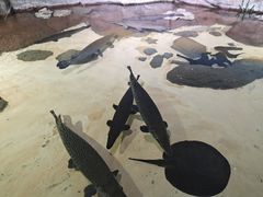 -南昌动物园