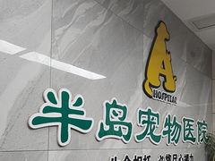 -半岛宠物医院24小时(白果林店)