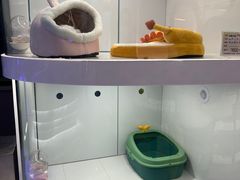 -1013 PET SHOP精品宠物商店(丁香店)