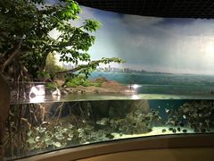 -福州罗源湾海洋世界旅游区