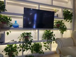 -西安现代妇产医院医疗美容