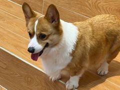 -和它·交个朋友·狗咖猫咖(爱琴海店)
