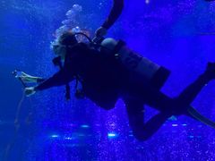 -沈阳海洋探索中心