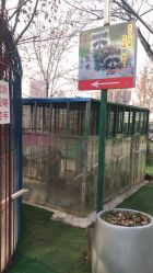 -萌宠亲子动物乐园(槐房万达店)