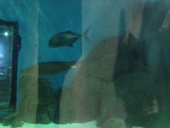 -苏州海洋馆