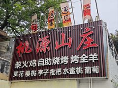 -桃源山庄·水蜜桃采摘·柴火鸡·烧烤团建(龙泉山店)