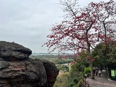 -广州莲花山旅游区