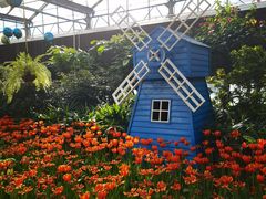 -南宫五洲植物乐园