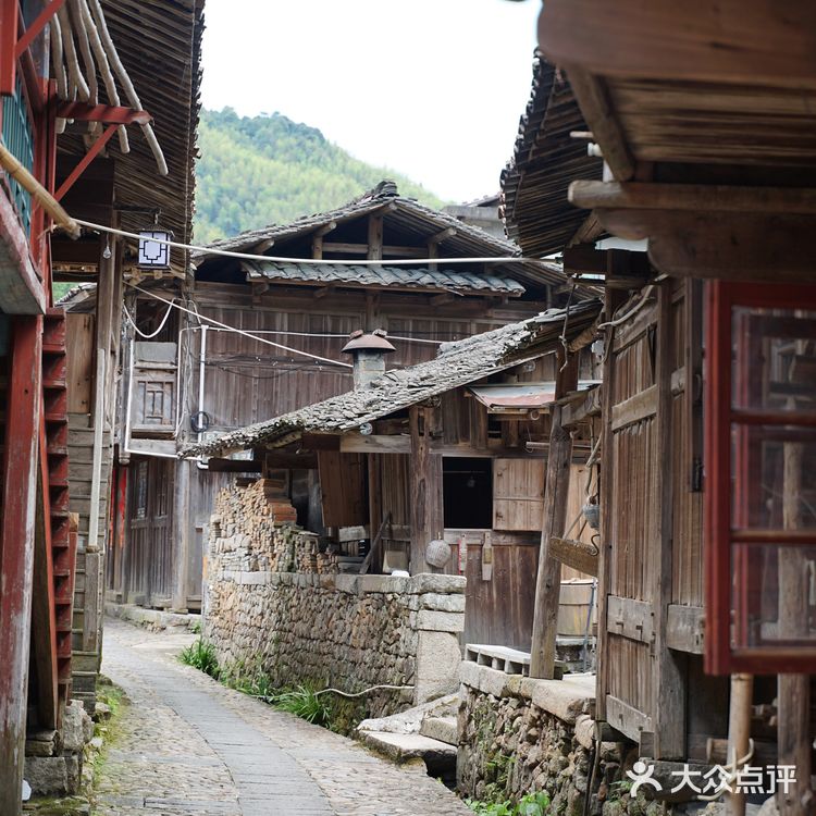 上坪古村|在武夷山脉,访古村,观莲荷,寻历史📖