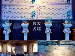 -贝壳梦幻世界