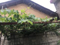 -柞水乾佑红门家菜