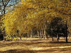 -蜀冈西峰生态公园