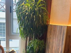 -慢丽江·云南野生菌土鸡锅(付家庄店)
