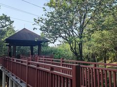 -广东花都湖国家湿地公园