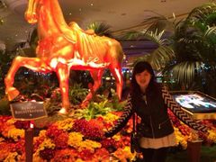 -拉斯维加斯永利酒店