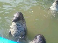 -北戴河圣蓝海洋公园