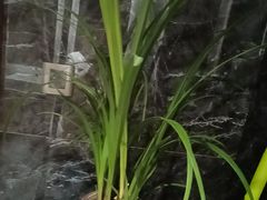 -豫满楼(郑东新区店)