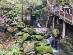 -藏龙百瀑风景区