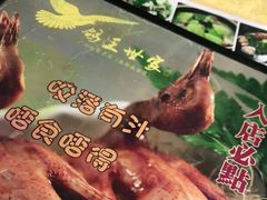 -鸽王世家(东华东路店)