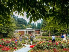 -庐山风景区花径公园