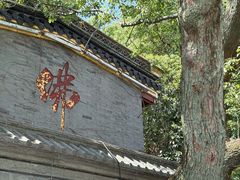 -东钱湖小普陀景区