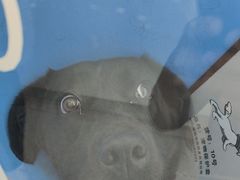 -谐和贝康宠物医院24小时·宠保定点(急重症转诊中心)