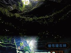 -梭布垭石林景区