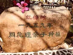 -广东温泉宾馆