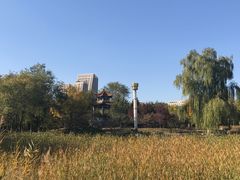 -滨河世纪广场公园