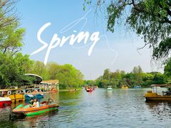 -上海共青森林公园