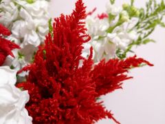 -双季花艺园艺市场(浦东店)