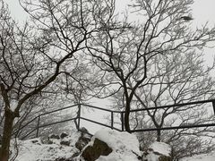 -紫金山索道-售票处