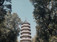 -灵谷景区