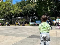 -晓港公园