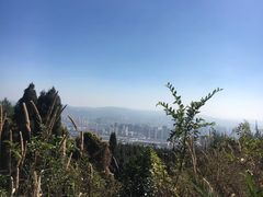 -长虫山生态公园风景林